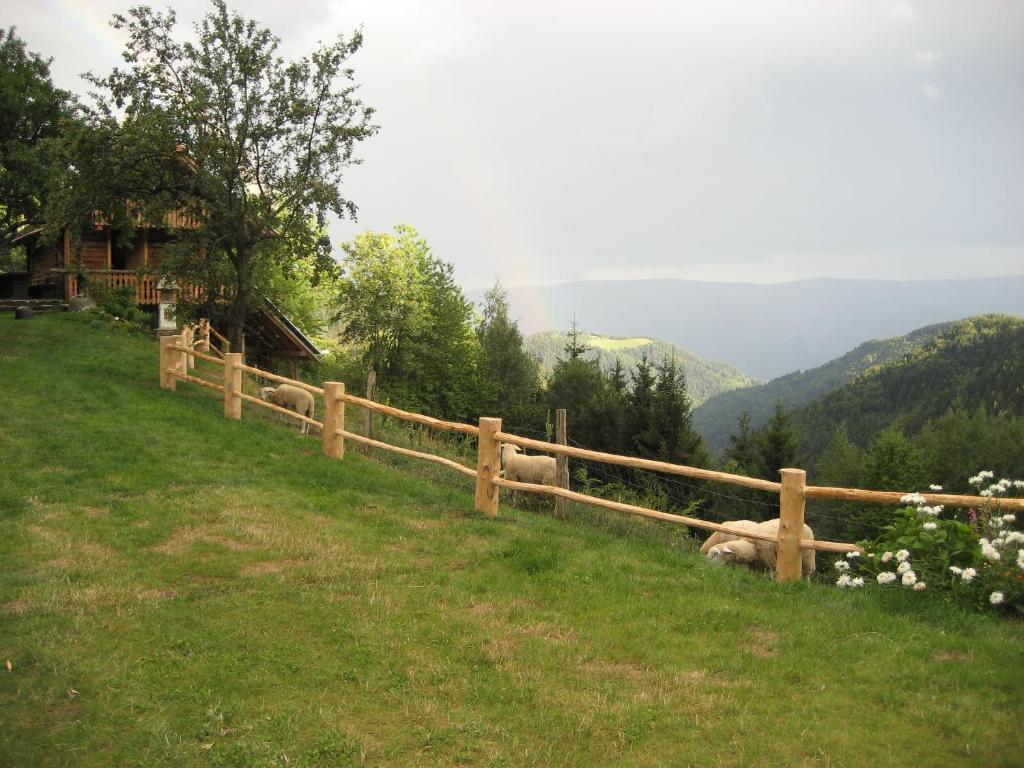 Příroda nedaleko chaty