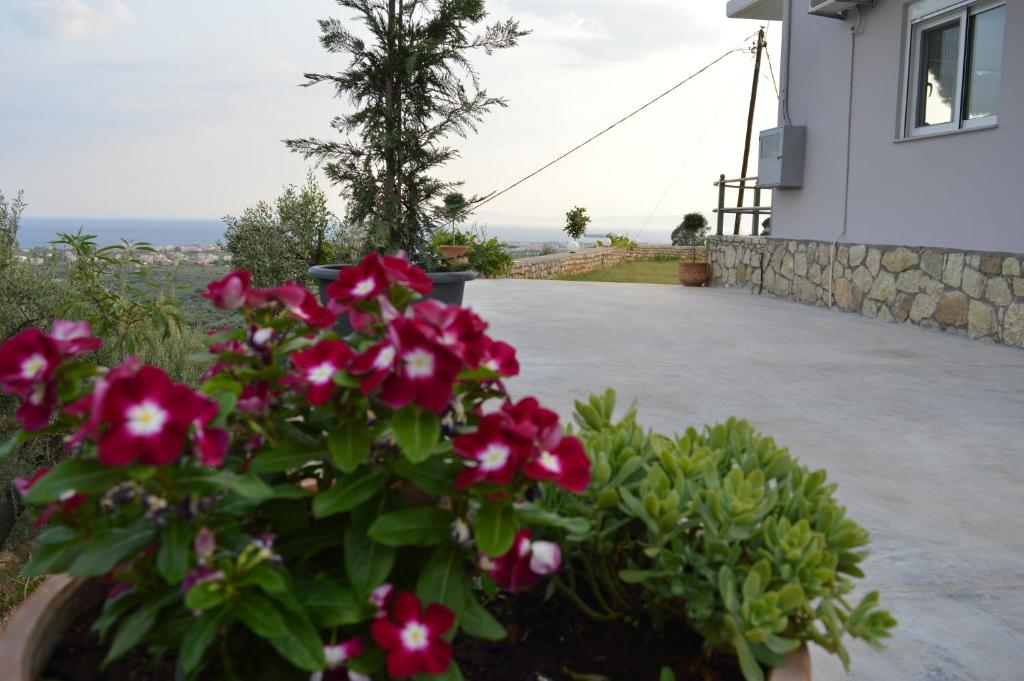Zahrada ubytování Bilines Home
