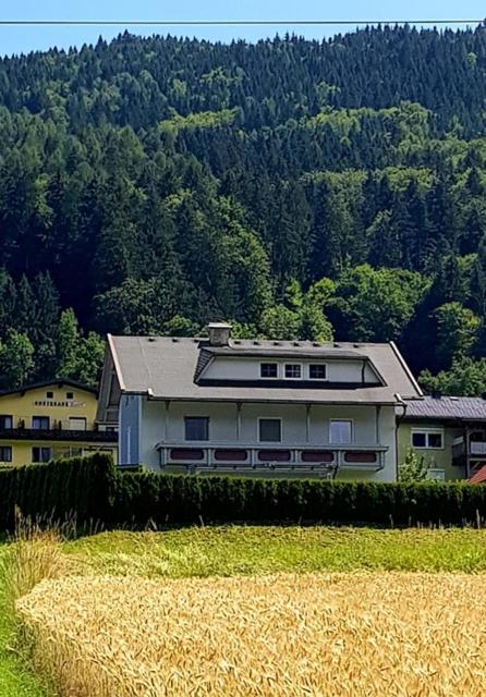 a large house in the middle of a field at Ferienwohnung Claudia in Altossiach