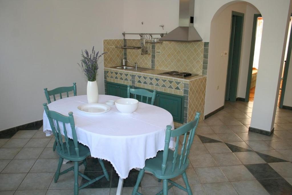 Kuchyň nebo kuchyňský kout v ubytování Apartmani Mladina