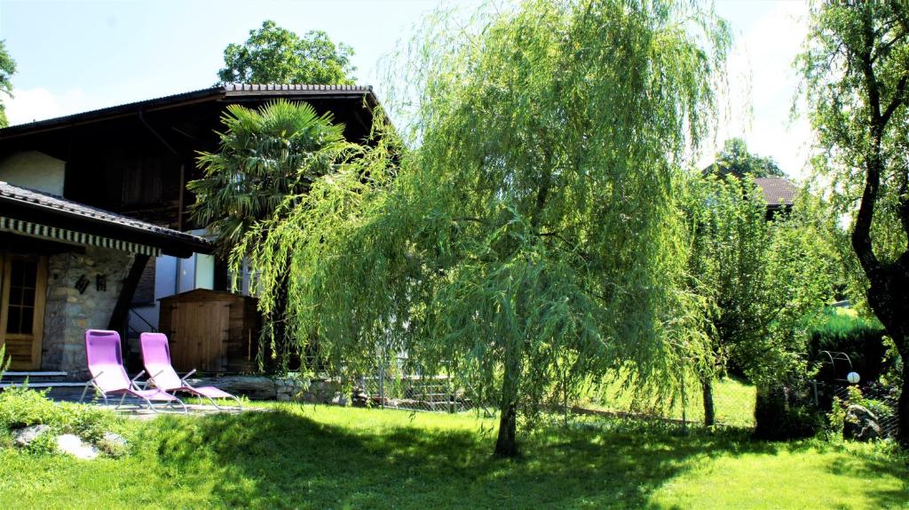 Zahrada ubytování B & B Brienz