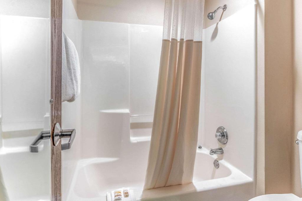 a shower with a shower curtain in a bathroom at La Quinta Inn & Suites by Wyndham Las Cruces Organ Mountain in Las Cruces