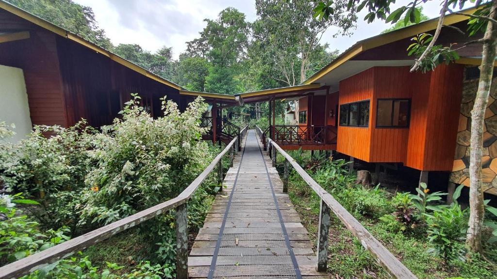 Zahrada ubytování Bilit Adventure Lodge