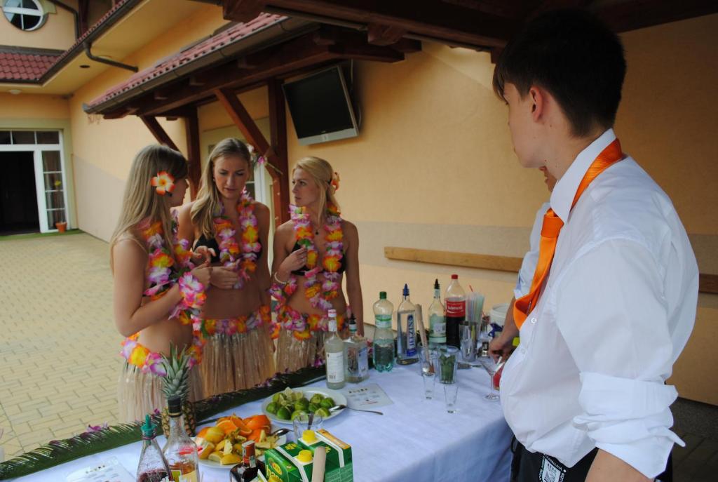 Hosté ubytování Hotel Allvet
