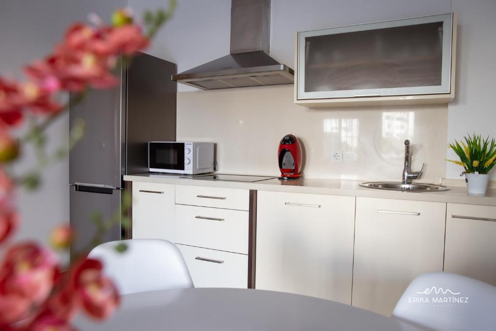 Kuchnia lub aneks kuchenny w obiekcie Apartamento Cañadilla MRZ Rentals