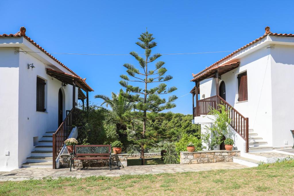 uma casa com um banco e uma árvore em Pandora Studios Skiathos em Skiathos