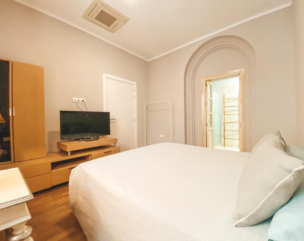 TV a/nebo společenská místnost v ubytování Apodaca Rooms
