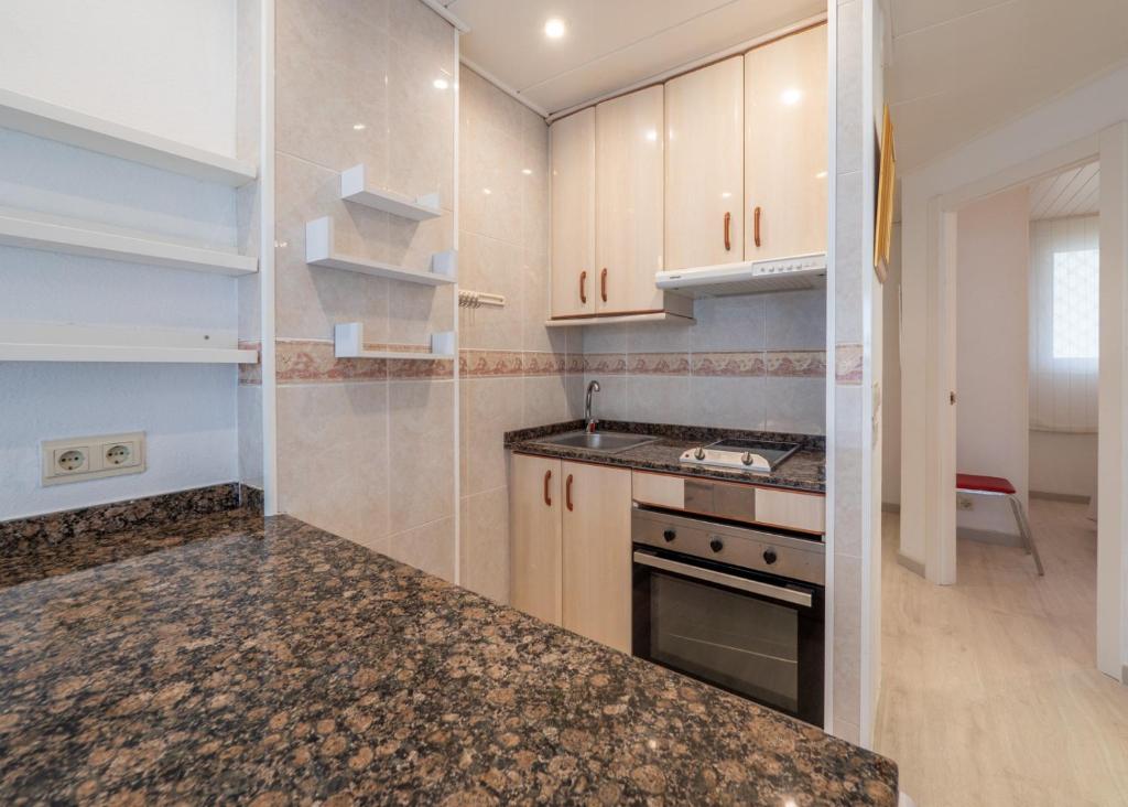Kuchyň nebo kuchyňský kout v ubytování HomeHolidaysRentals Brizna
