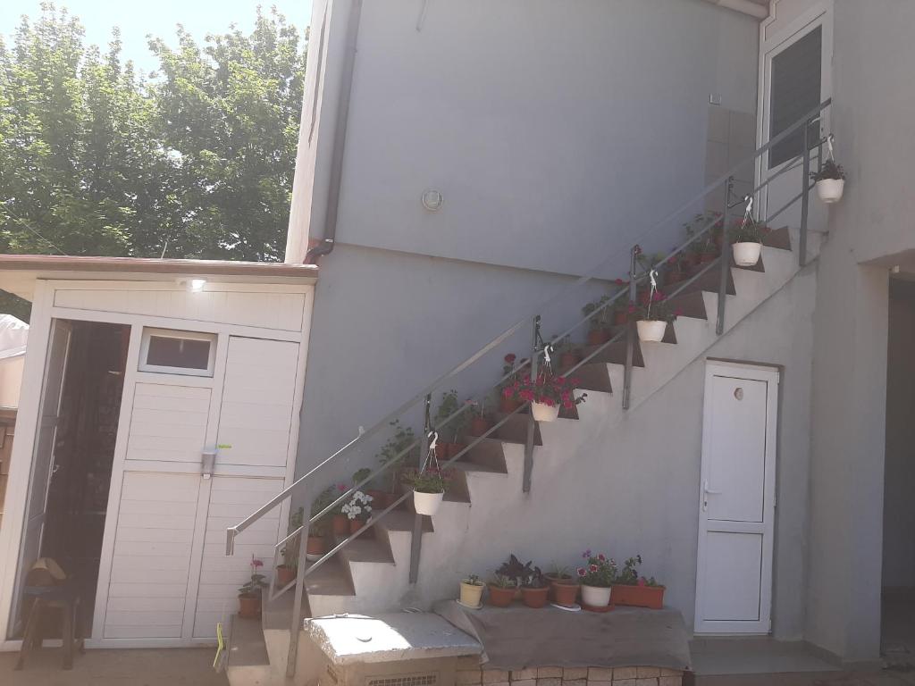 Fotografie z fotogalerie ubytování Casa camy v destinaci Eforie Nord