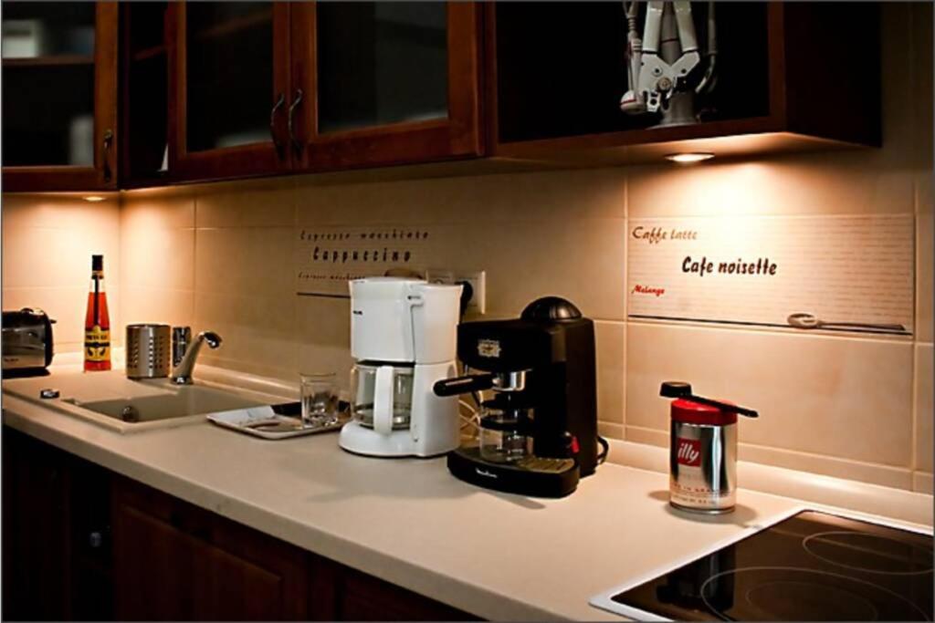 A kitchen or kitchenette at Luxury apartment in the city center