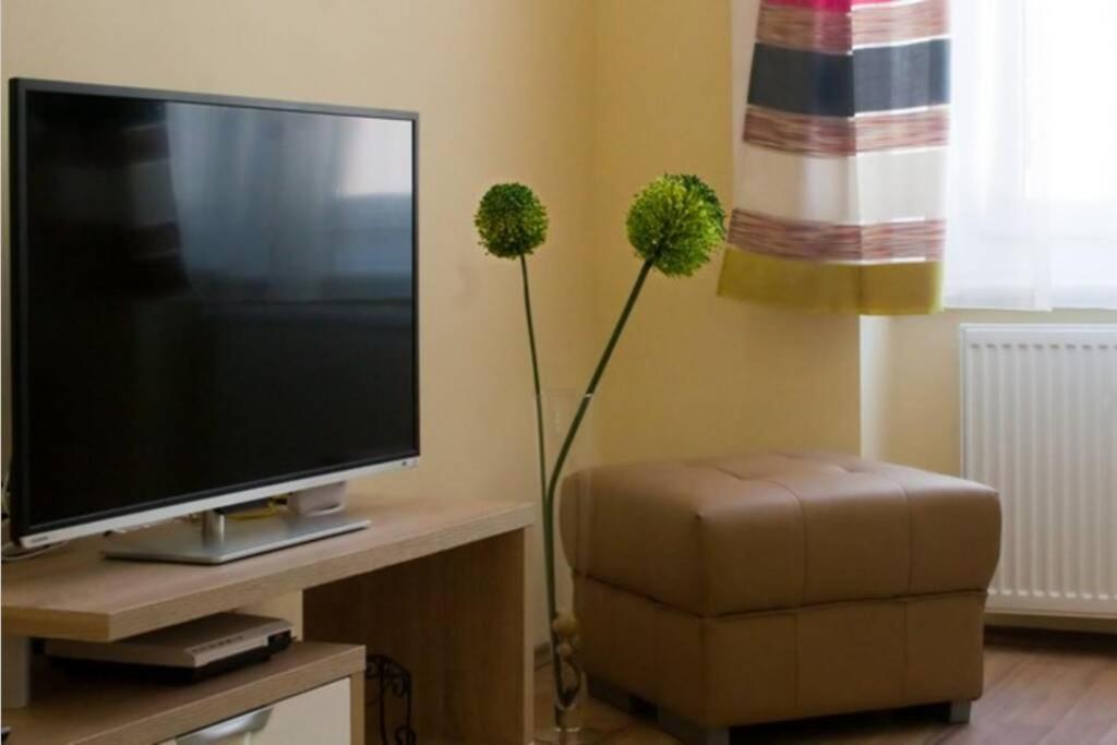 A television and/or entertainment centre at Luxury apartment in the city center