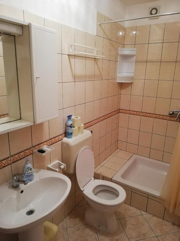 Koupelna v ubytování Apartmani Matiša