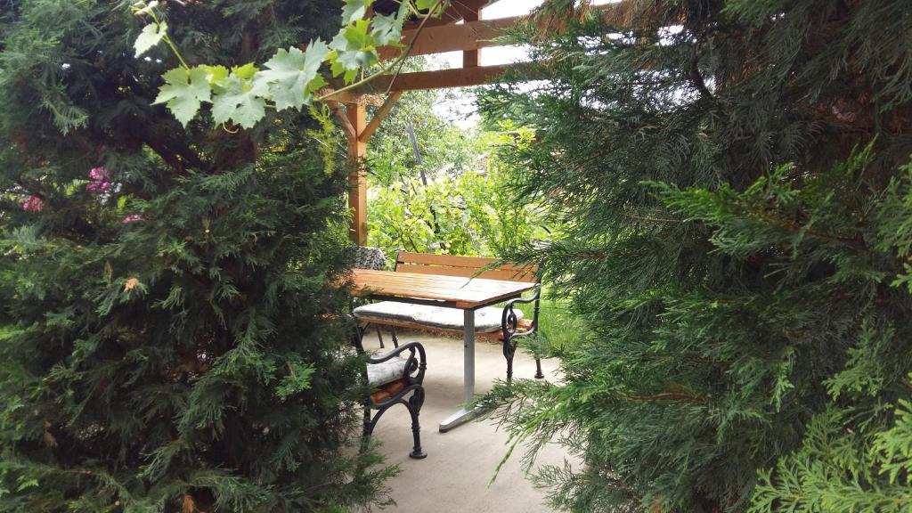 a picnic table and bench in a garden with trees at Kamilla Vendégház in Ács