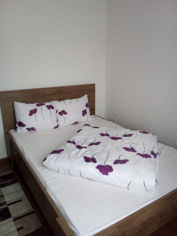 City Break Timisoara