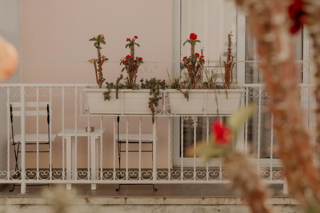 Fotografie z fotogalerie ubytování Hotel Opera v destinaci Larnaka