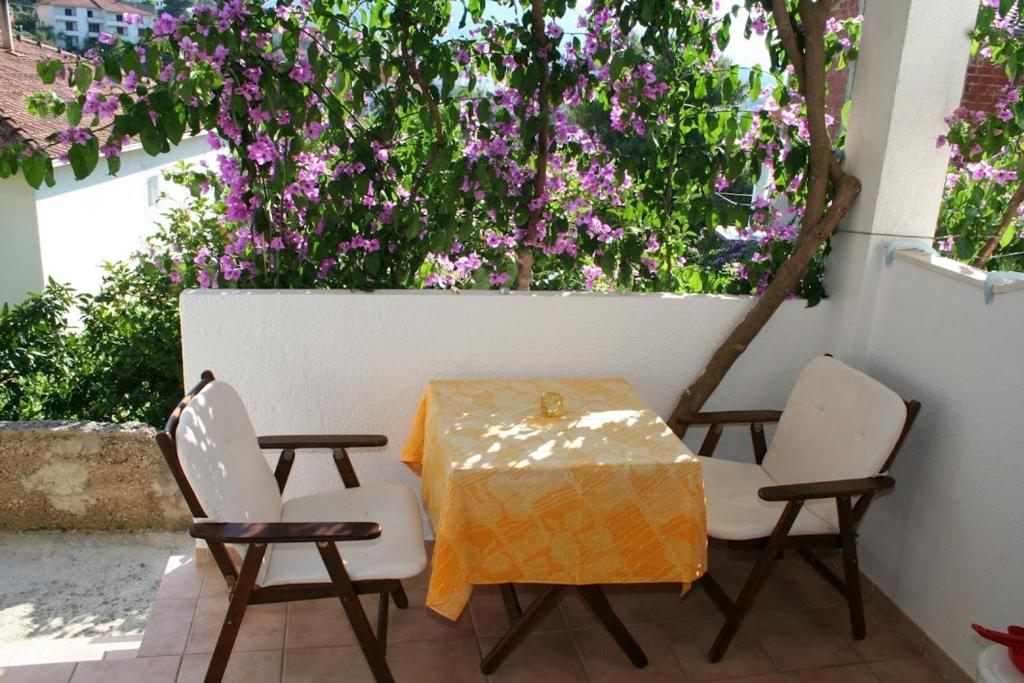 Zahrada ubytování Apartmani Mladina