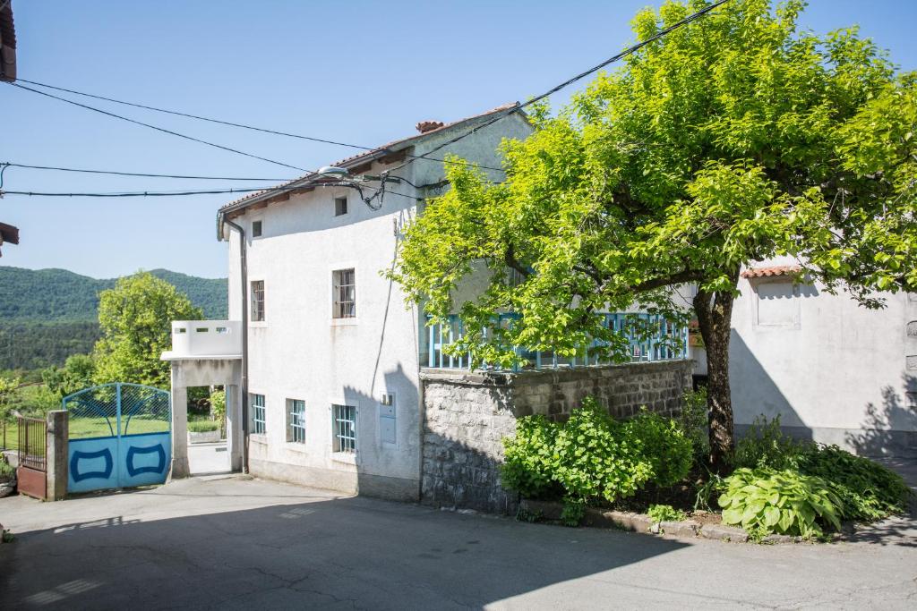 ein weißes Gebäude mit einem Baum davor in der Unterkunft Hiša Šucarija in Dutovlje