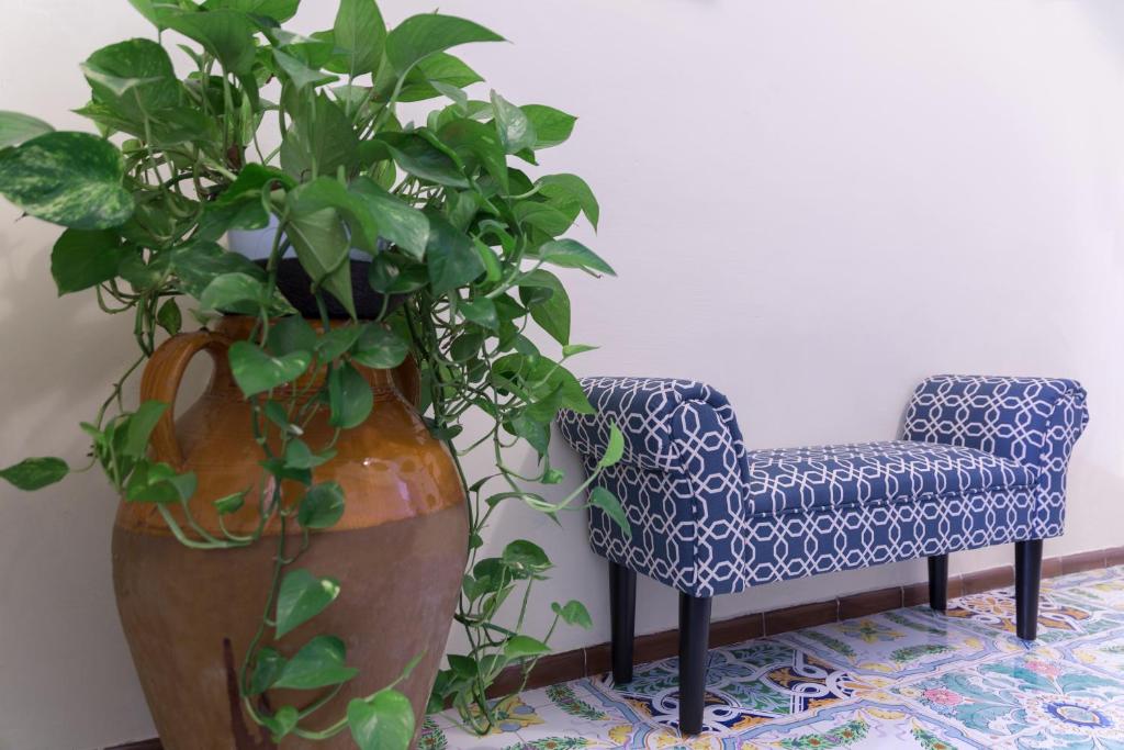 Un lugar para sentarse en HOTEL ZI'NTONIO