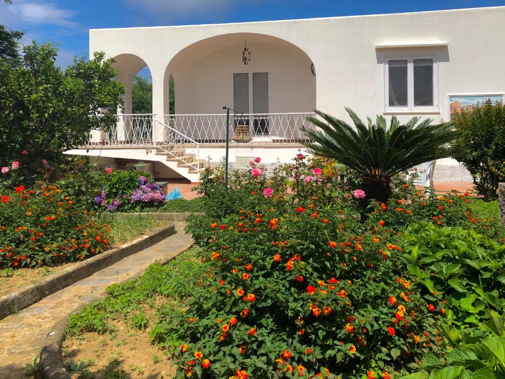 una casa con un giardino con fiori di fronte di Villa Catenacci Anacapri ad Anacapri