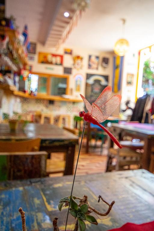 Posezení v ubytování Eco hostel floreale