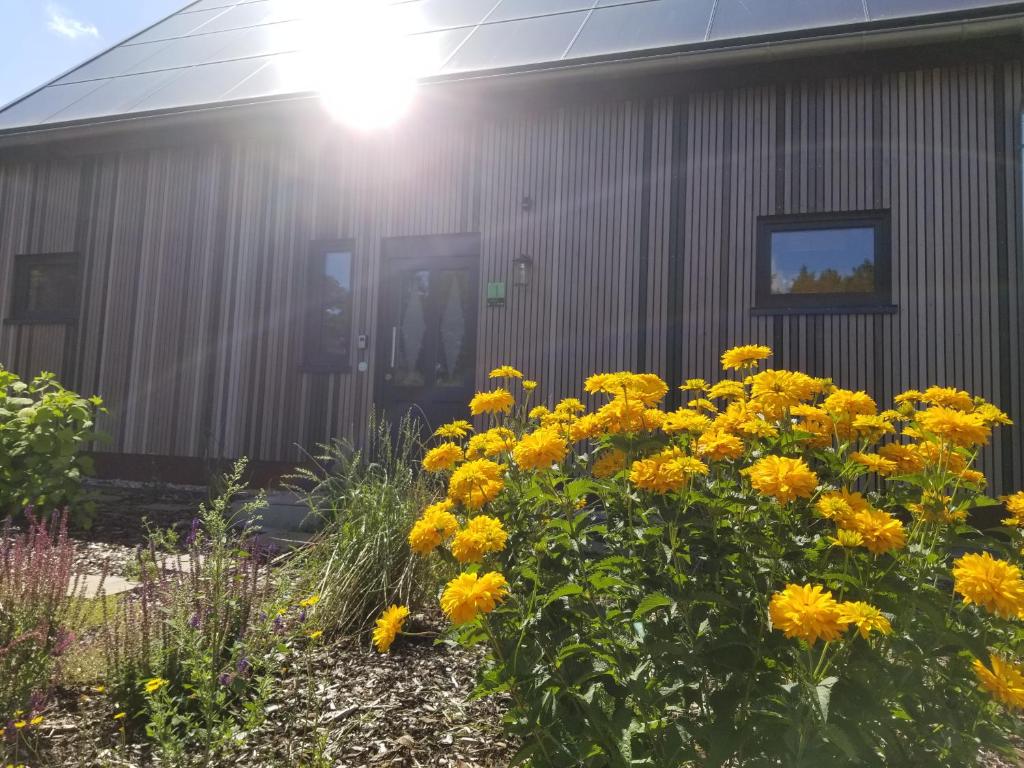 Haus am See - Maison De Vacances