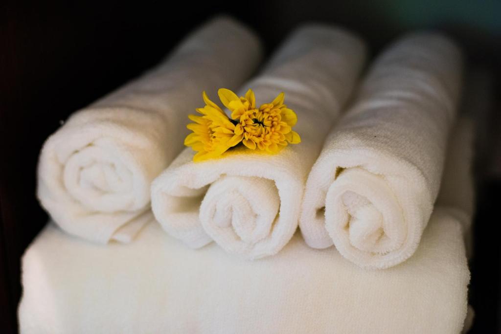 Fotografie z fotogalerie ubytování Hoianoi Villa v destinaci Hoi An