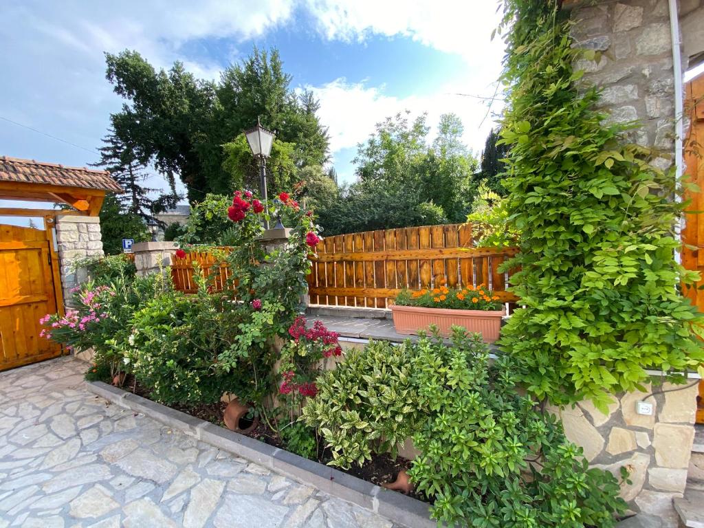 Zahrada ubytování Hotel Aragvi