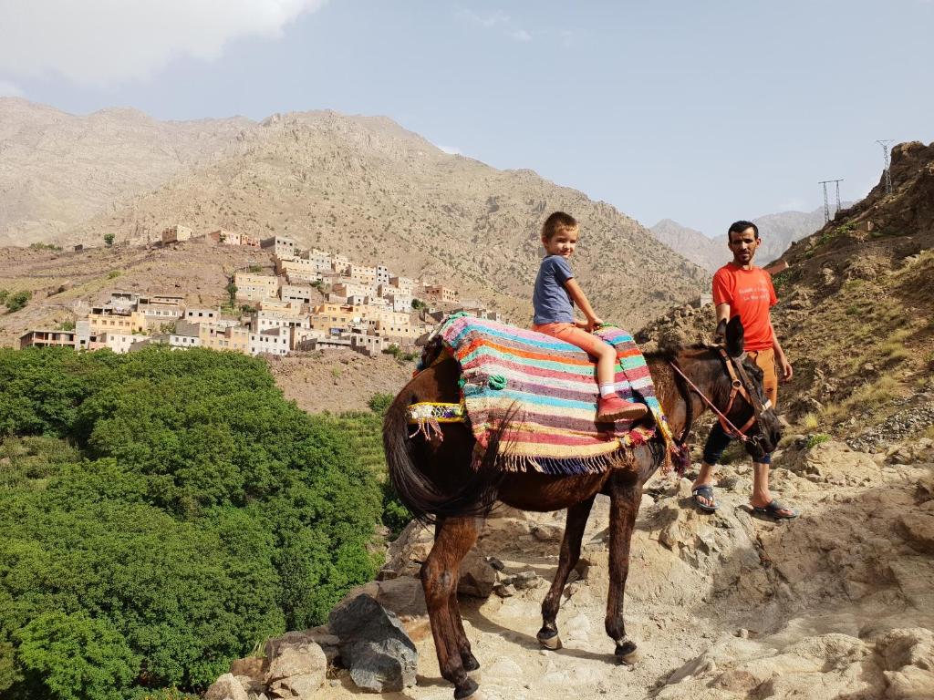 Hosté ubytování Dar Assarou - Toubkal National Park Lodge