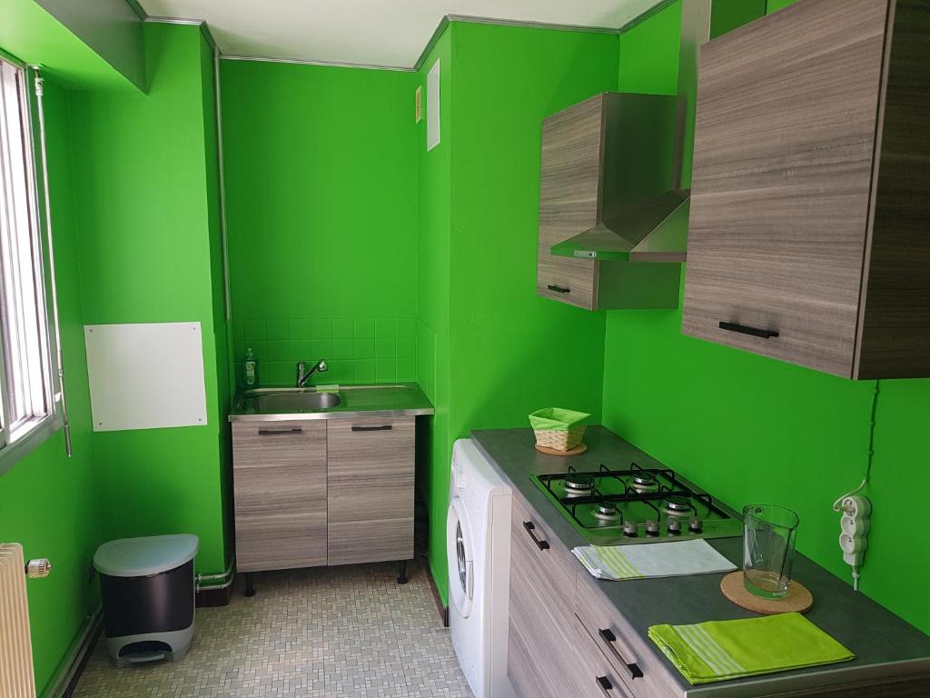 - une cuisine verte avec une cuisinière et un évier dans l'établissement l'Horizon - F2 - 1er étage, à Épinal