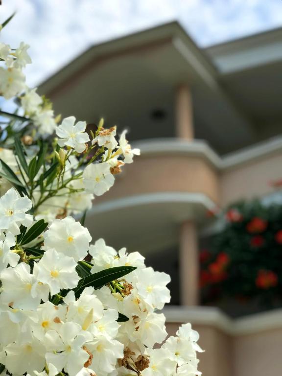 Zahrada ubytování Apartments KRAJA