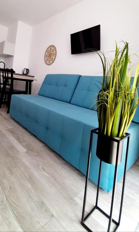 niebieską kanapę w salonie z rośliną w obiekcie Flamingo Apartments w mieście Międzyzdroje