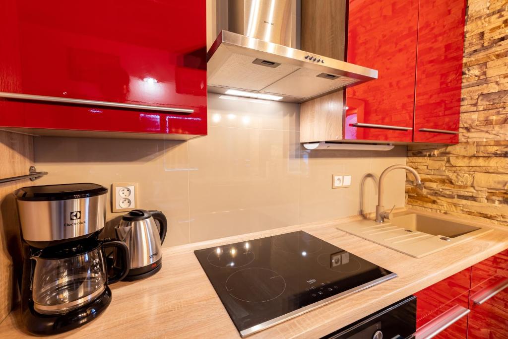 Kuchyň nebo kuchyňský kout v ubytování Apartmán POD HRADEM - Vranovská přehrada, Bítov-Horka