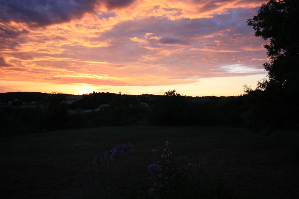 Příroda nedaleko bed and breakfast