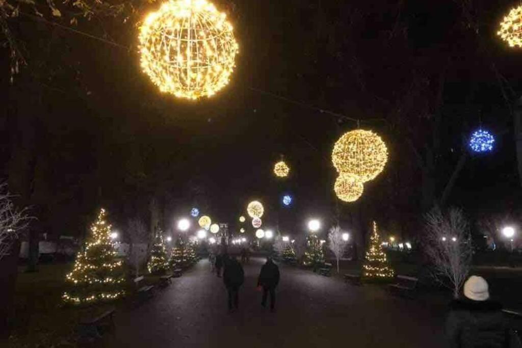 Coeur Alsace – photo 55