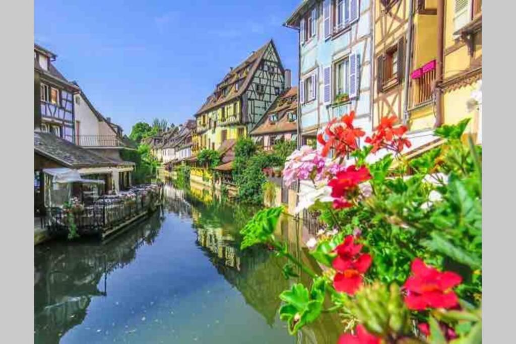Coeur Alsace - Appartement D'une Chambre