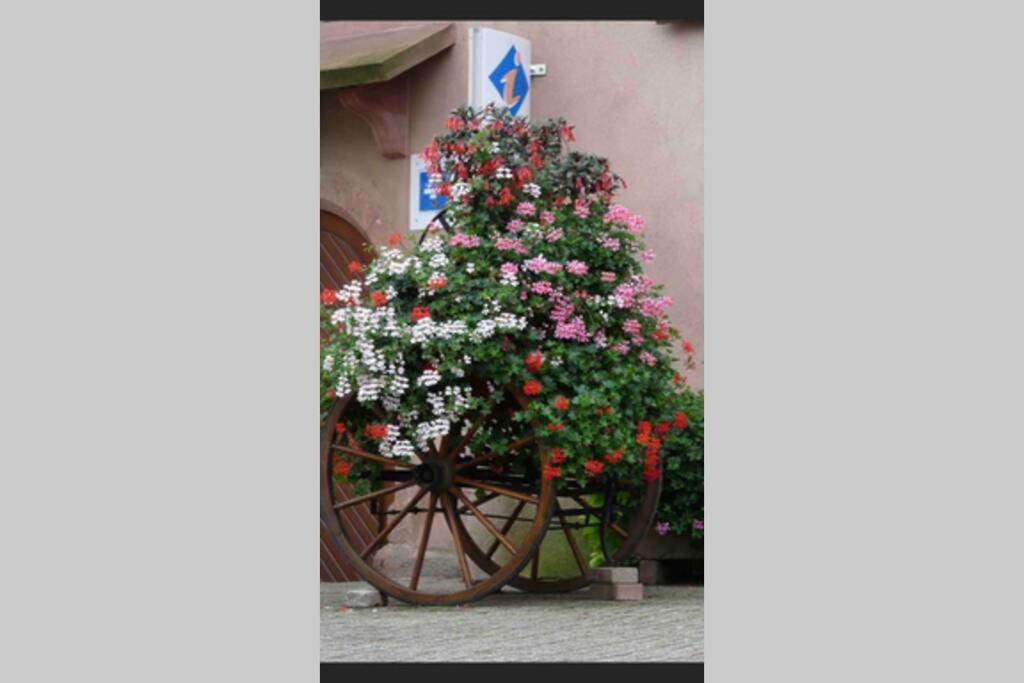 Coeur Alsace – photo 27