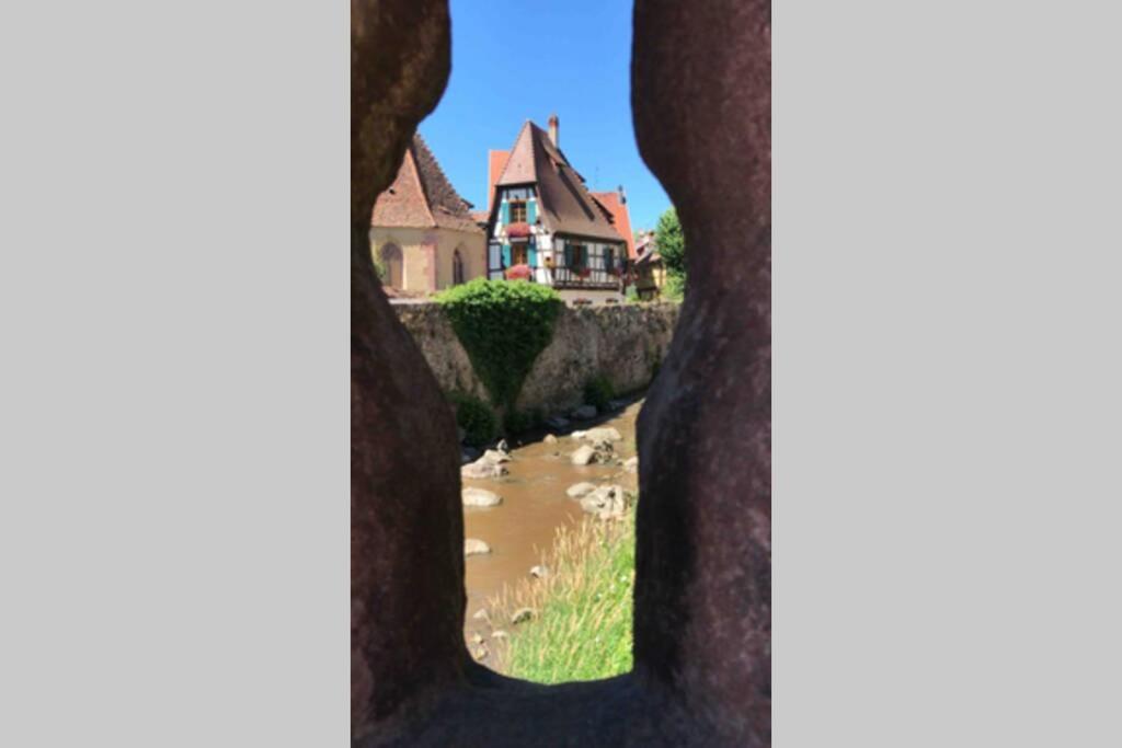 Coeur Alsace – photo 31