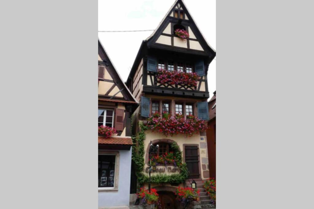 Coeur Alsace – photo 32