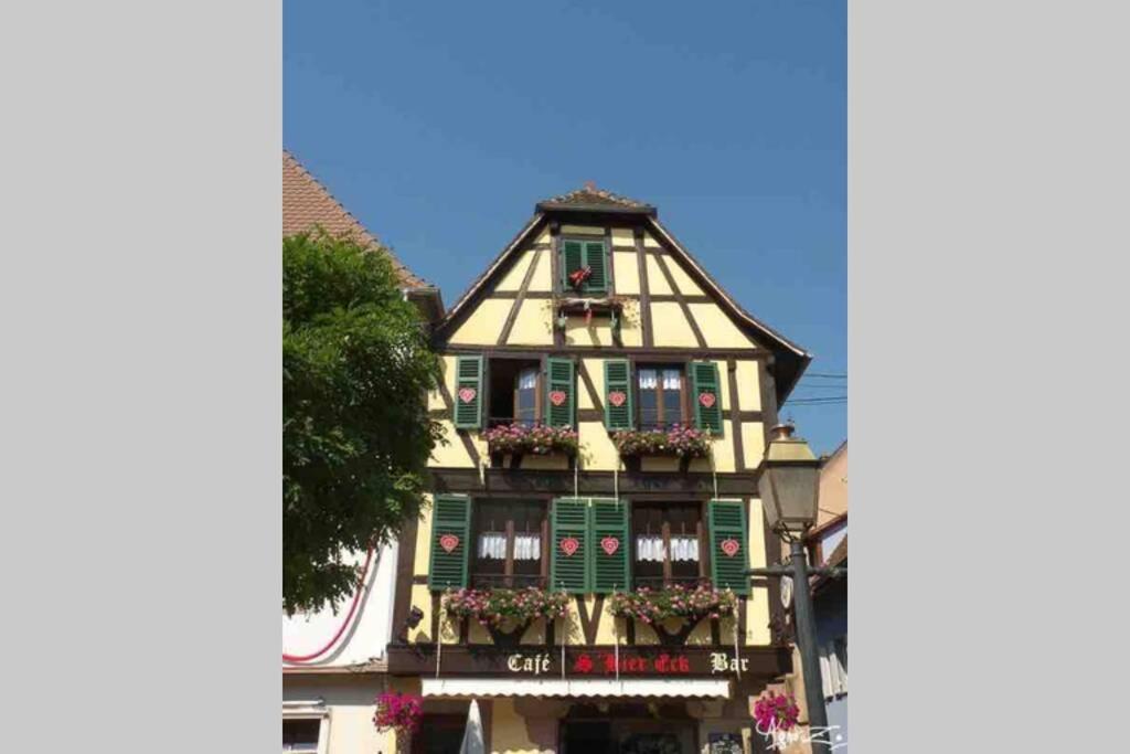 Coeur Alsace – photo 35