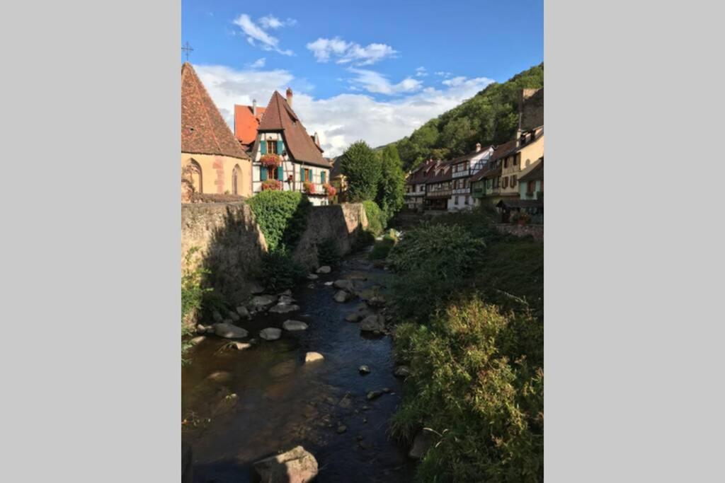 Coeur Alsace – photo 37