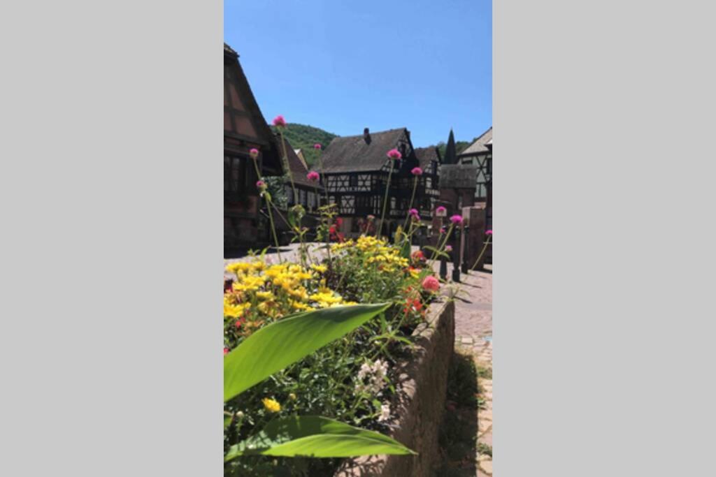 Coeur Alsace – photo 48