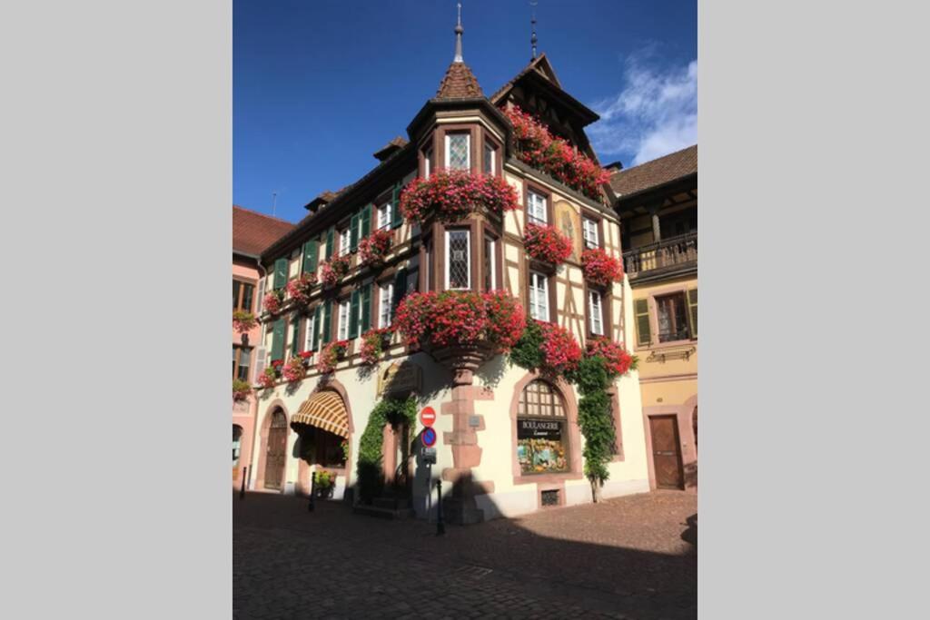 Coeur Alsace – photo 46