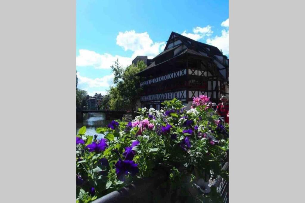 Coeur Alsace – photo 42