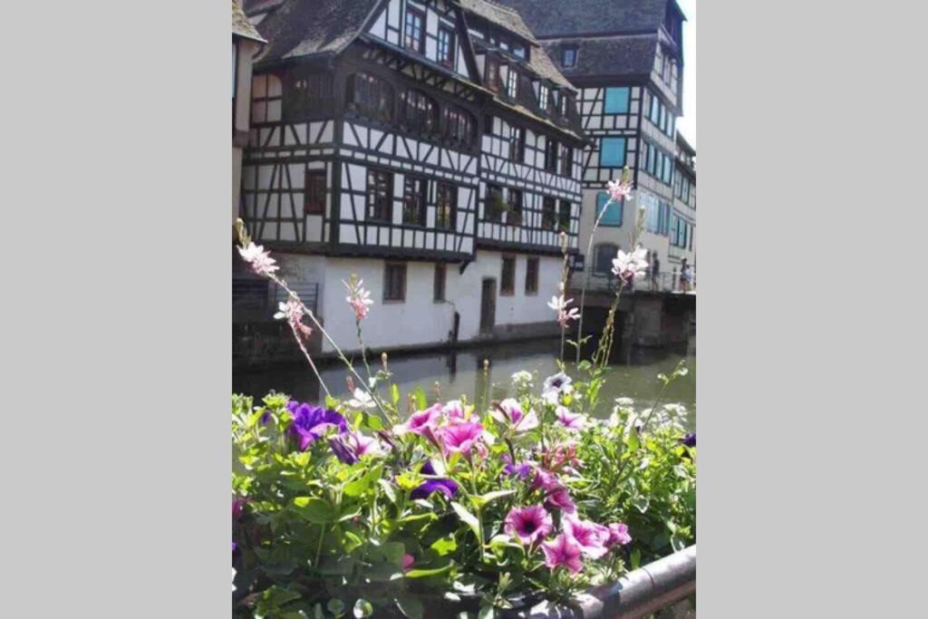 Coeur Alsace – photo 41