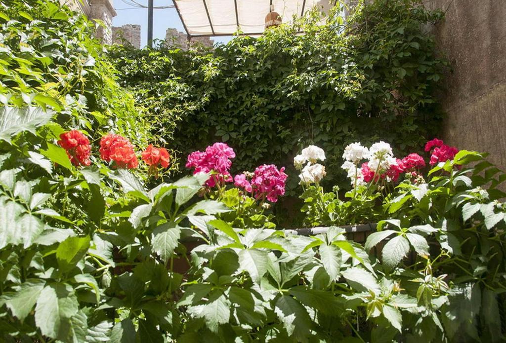 Ogród w obiekcie Erice Villa San Domenico