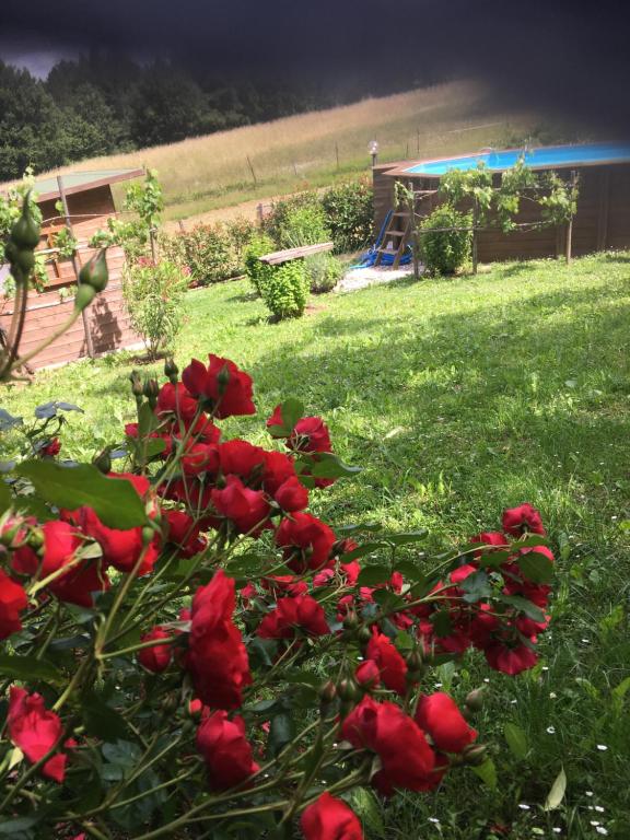 Zahrada ubytování Il Mugello B&B