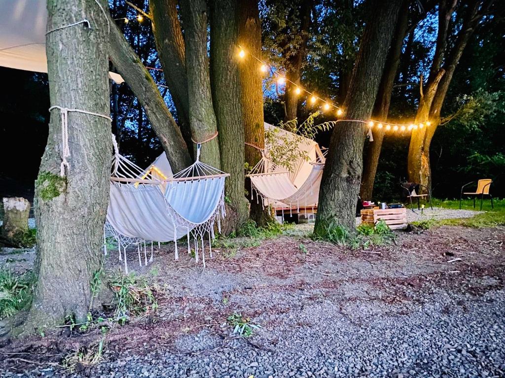 Zahrada ubytování Glampspace Lake View