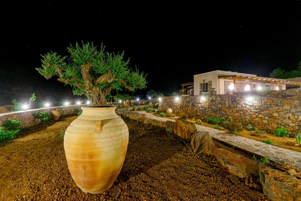 Zahrada ubytování Yiannis Retreat