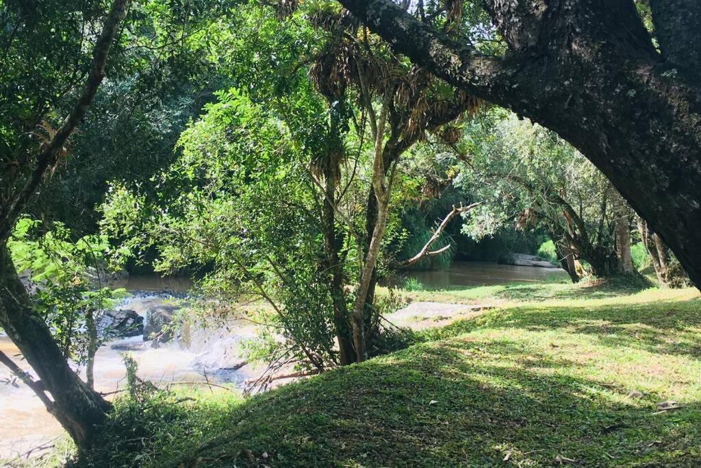  Monte do Falcao