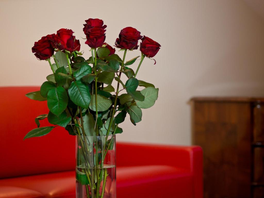 Pałac Pakoszów Schlosshotel Wernersdorf - 4